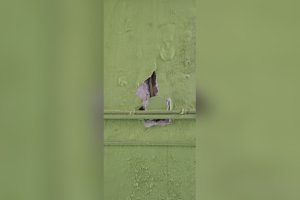 Καταγγελία για σοβαρά προβλήματα ασφάλειας στον Α’ Δημοτικό Παιδικό Σταθμό Καλαμάτας